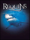 Le Monde des requins – Requins 3D